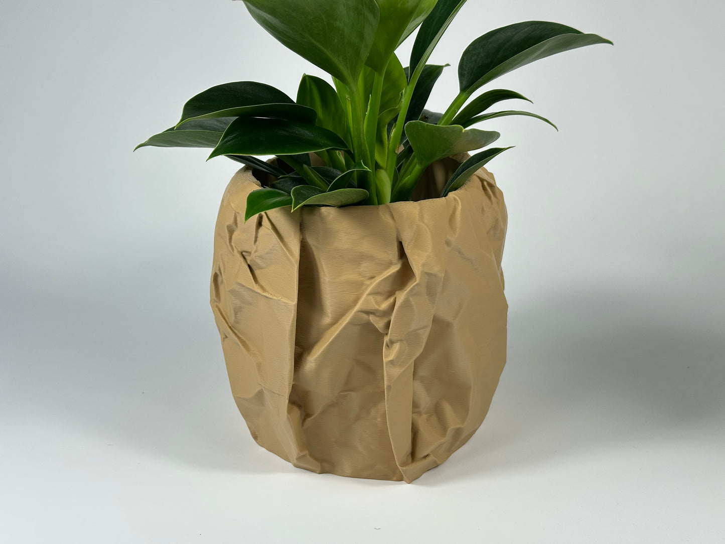 Zerknüllter Papier-Pflanztopf